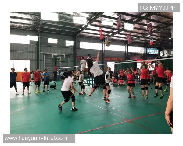 杨丽的排球人生:从赛场拼搏到心灵成长的对话分享 杨丽的排球人生:从赛场拼搏到心灵成长的对话分享