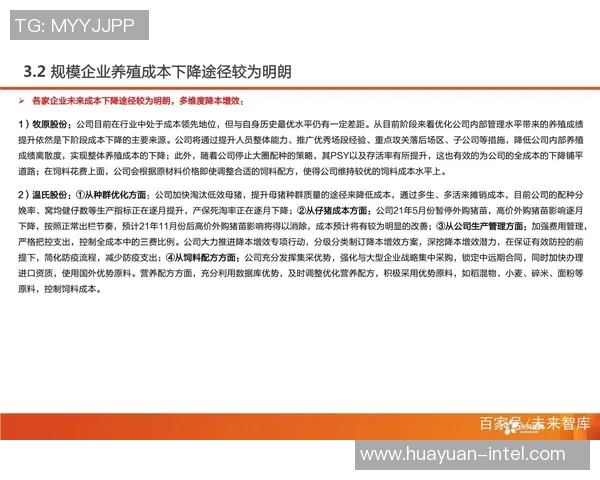 体育实时数据广州篮球队比赛经验分析与提升策略探讨