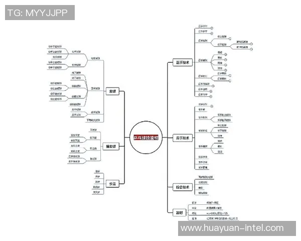运动数据乒乓球技艺探秘深入解析杭州乒乓球队的防守策略与技巧